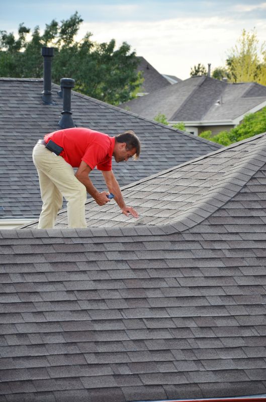 Roof Inspectors